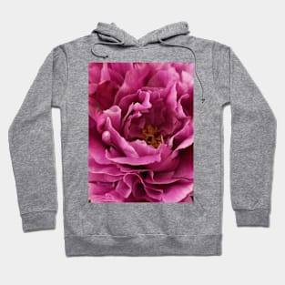 My Kitchen Peony Flowers Hoodie